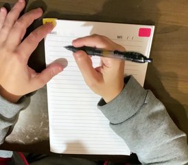 Page 41 of BOOK TWO - SUBJECTS OF LIFE being written