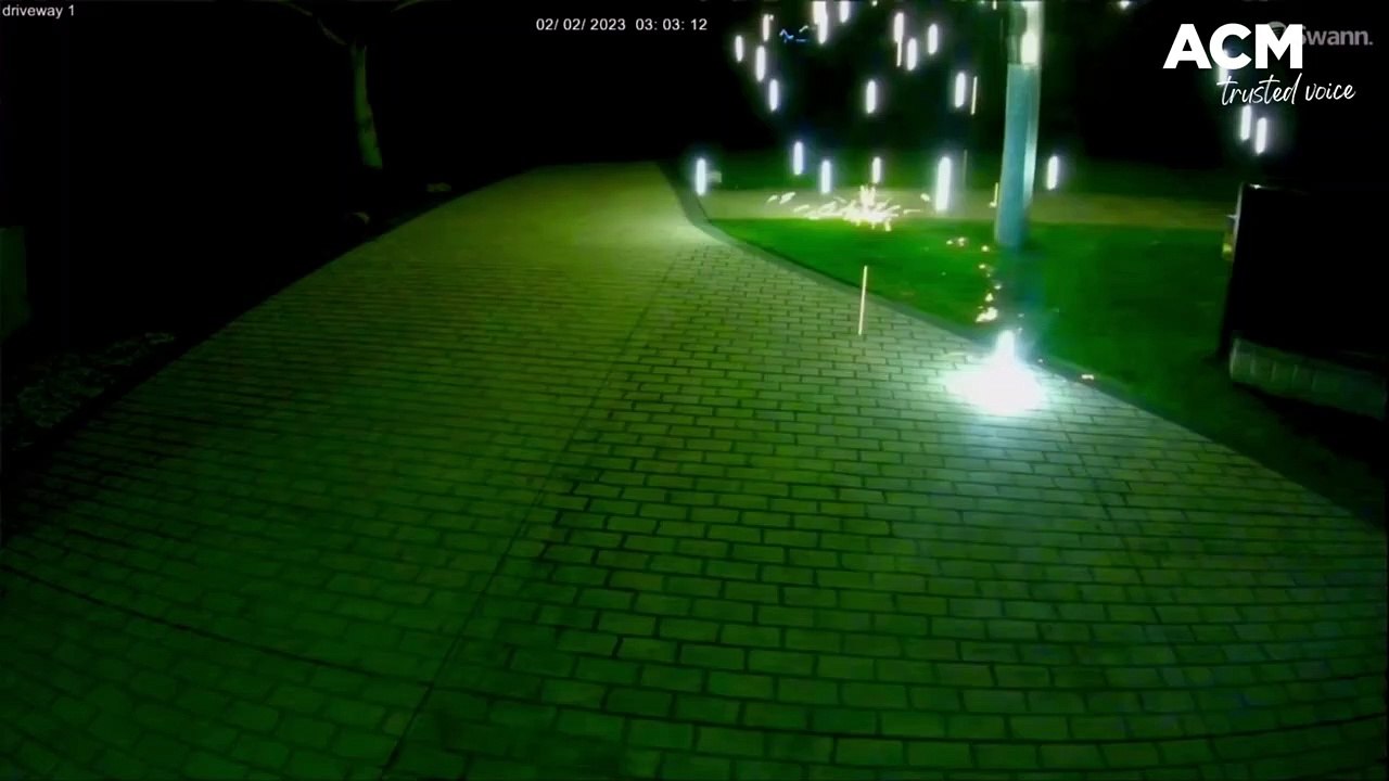 Possum short-circuits powerlines in Helensburgh | February 3, 2023 | Illawarra Mercury