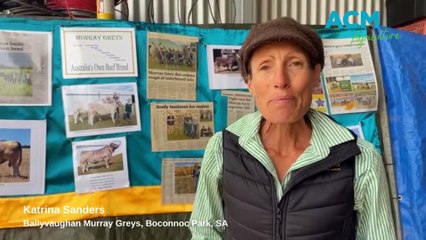 2023 Stock Journal Beef Week kicks off