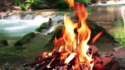 Making Lazy Burek in The Forest