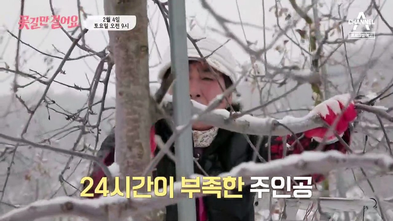 [예고] 일하느라 24시간이 모자란 아내와 붓글씨만 쓰는 남편! 아내에게도 꽃길이 열...