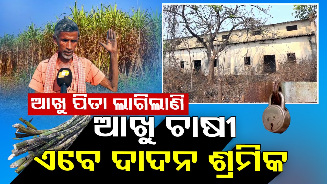 Nayagarh sugarcane farmers stare at an uncertain future - OTV report