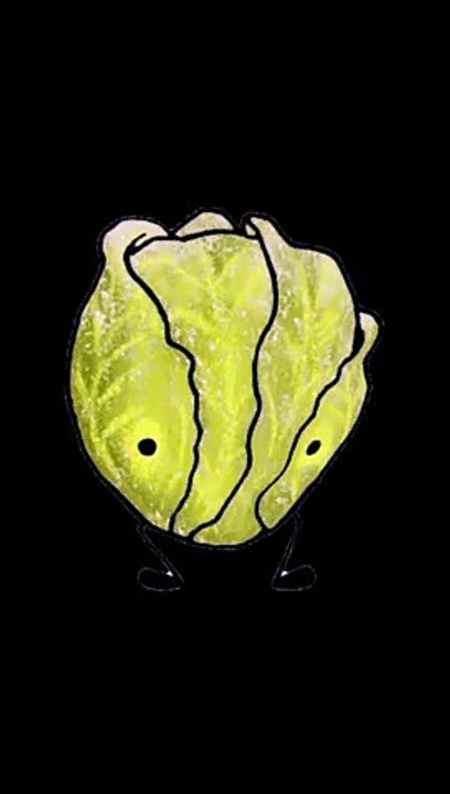 CABBAGE. Spelling Pracice.