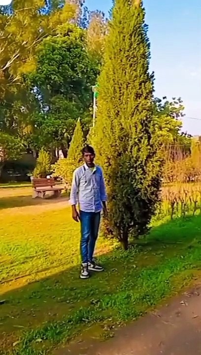 Hum Deewane Hain Ishq Karte Hain bekarari Mein jite Marte Hain short#video#hindi