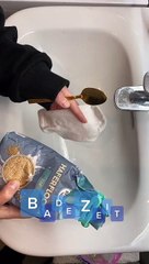 Funny animals! funny animals short video