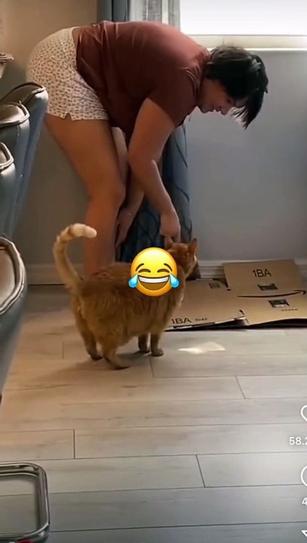 ⁣Funny animals! funny animals short video