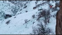 Kar altında yiyecek arayan yaban keçileri böyle görüntülendi