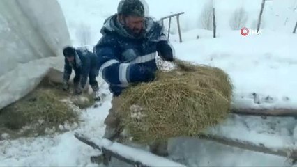 Besicilerin zorlu kış şartlarıyla mücadelesi devam ediyor