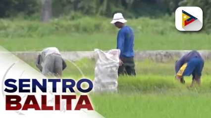 Pag-uugnay ng mga magsasaka sa mga mamimili at institutional buyer, pinapaigting ni Pres. Marcos Jr.