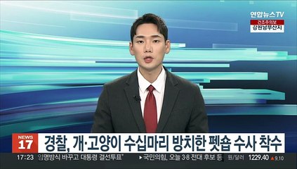 경찰, 개·고양이 수십마리 방치한 펫숍 수사 착수