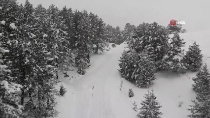 Erzincan'da karda mahsur kalan araçlar kurtarıldı