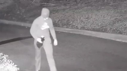 Detenido por lanzar un cóctel molotov contra una sinagoga de Nueva Jersey