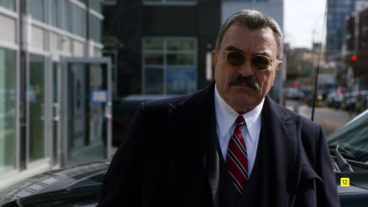 Blue Bloods Tráiler español Temporada 13 Vídeo Dailymotion