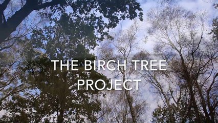 The Birch Tree Project explained
