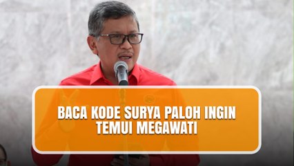 Surya Paloh Ingin Temui Megawati: Apa Tujuannya? 🤔