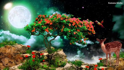 Nature template video | no copyright  template video | Background template