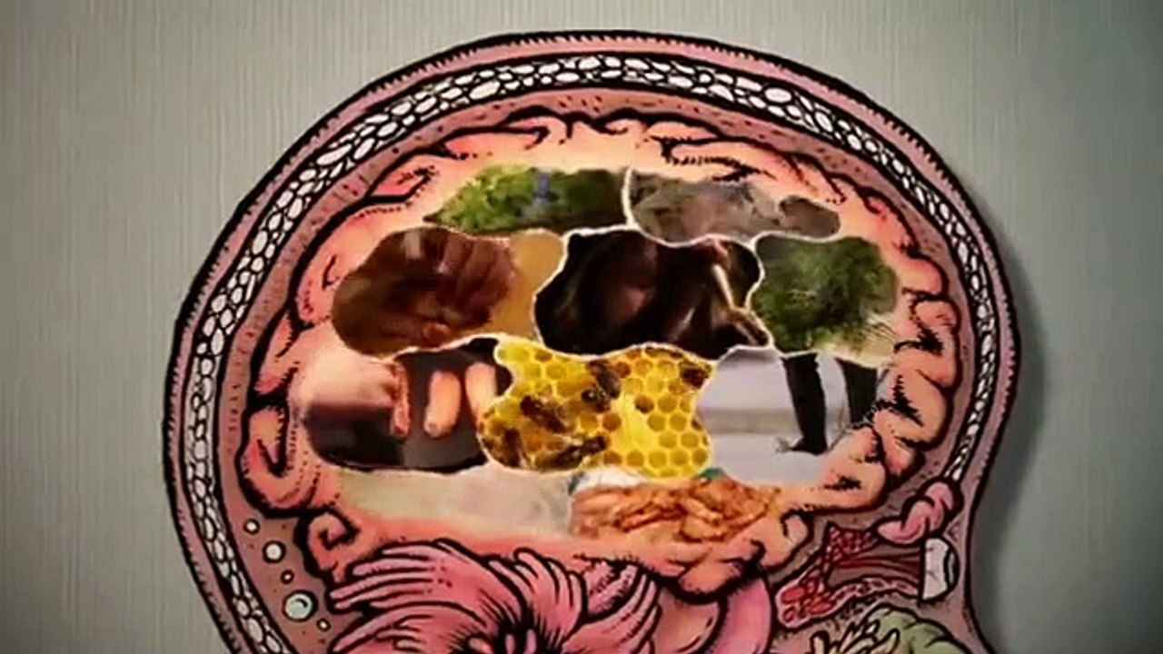 The Mind Of A Chef- Se3 - Ep13 HD Watch