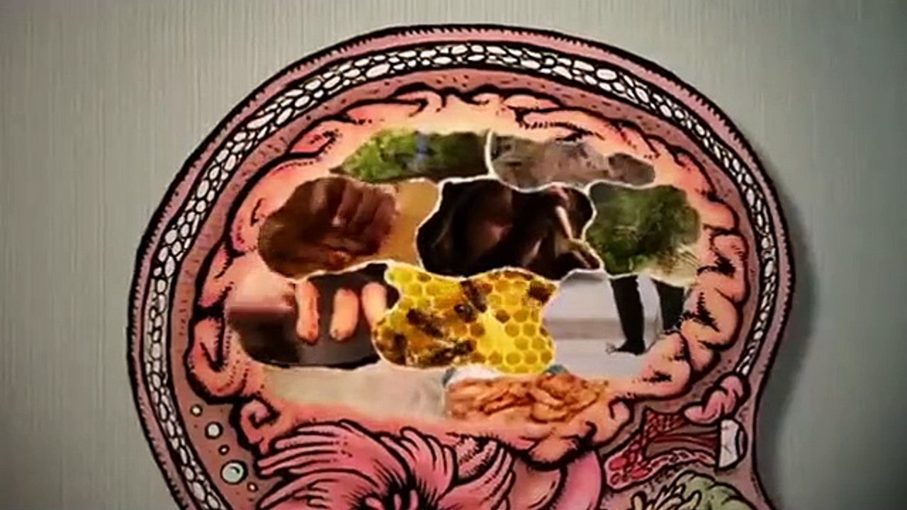 The Mind Of A Chef- Se3 - Ep14 HD Watch