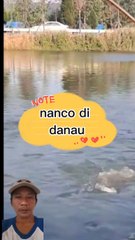 Nyari ikan dgn alat tanco