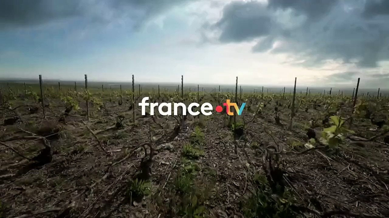 Meurtres en Champagne Bande-annonce VF