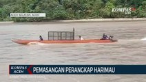 Pemasangan Perangkap untuk Harimau