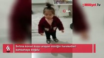 Sırtına konan kuşu arayan miniğin hareketleri kahkahaya boğdu