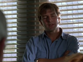 BAANTJER SEIZOEN 8 AFLEVERING 8 DE COCK EN DE MOORDENDE WREKER.