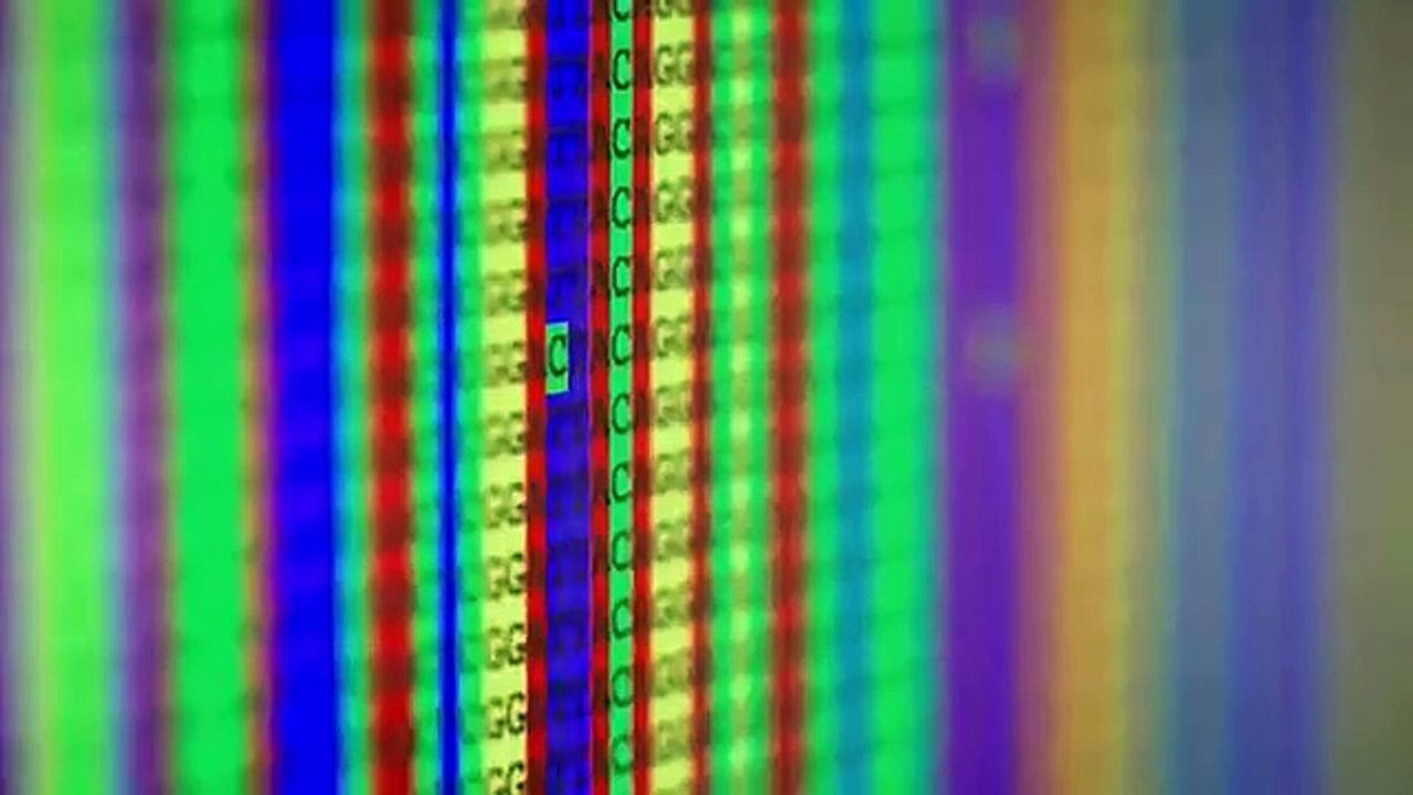 Nova - Se47 - Ep02 - Dog Tales HD Watch