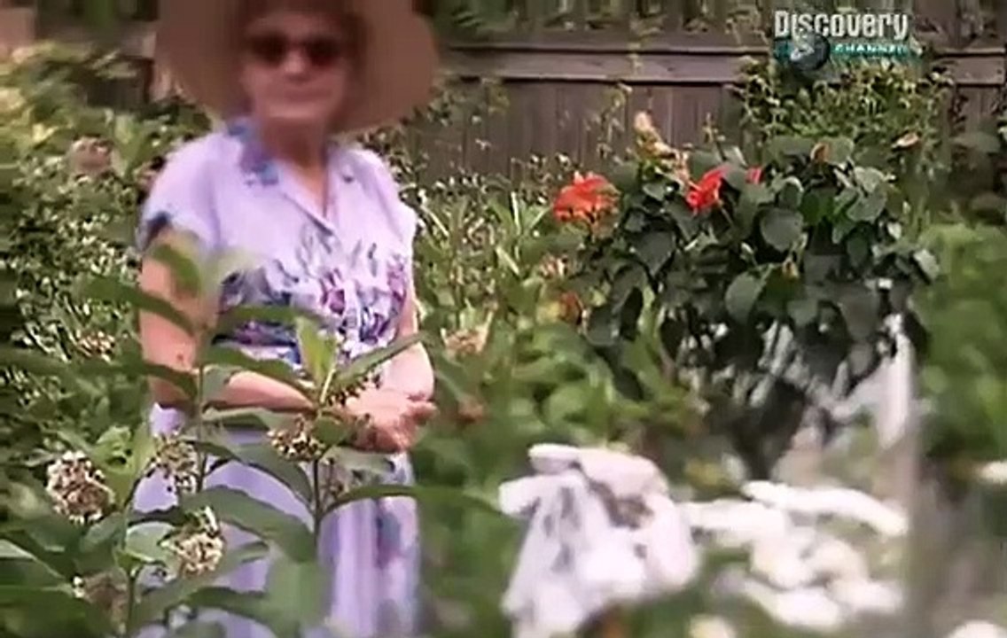 Most Evil - Se3 - Ep05 HD Watch