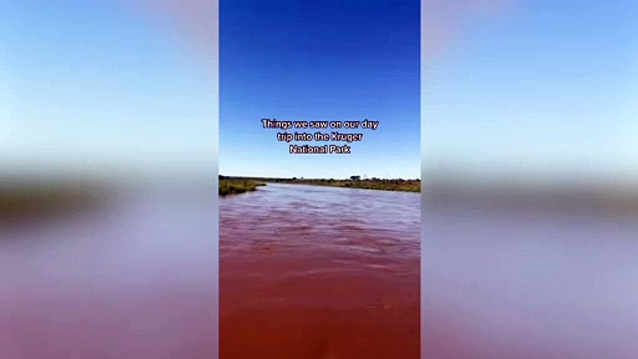 Woman left incredulous after day trip to Kruger National Park resulted in ZERO animal sightings