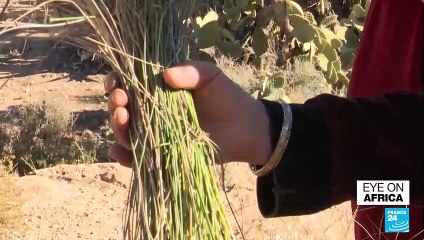 In Tunisia, unemployment turns into political apathy