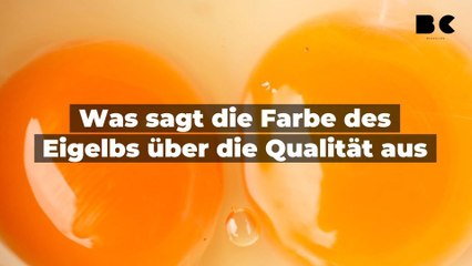 Was sagt die Farbe des Eigelbs über die Qualität aus?