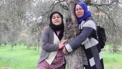 Muğla'daki Kömür Çıkarma İşlemine Karşı 59 Emekli Bürokrat, Rütbeli Asker ve Memurdan Ortak Açıklama: "Şirket Arkadan Dolanarak Köylülerin Verimli...