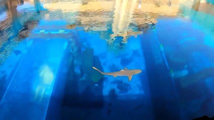 This Water Slide Will Give You Nightmares...