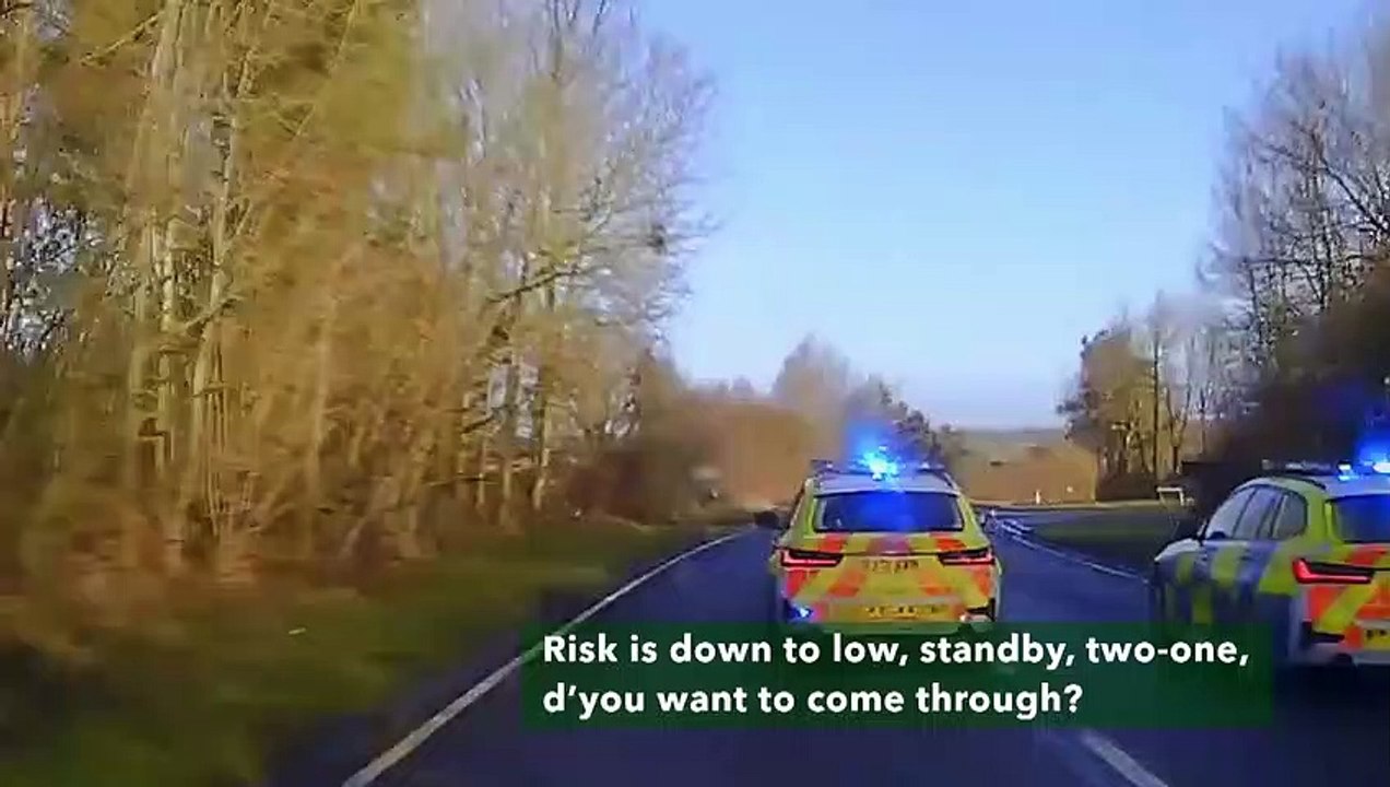 Des policiers n'hésitent pas à pousser hors de la route un fuyard dans une voiture volée