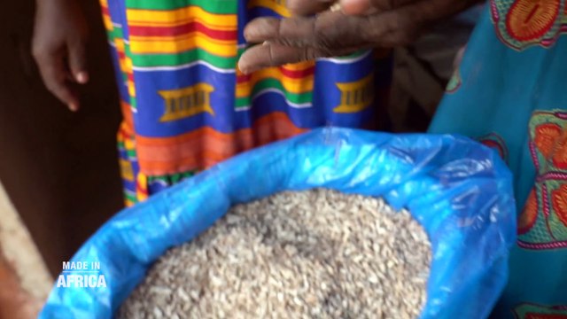 [Reportage] La banane plantain dans tous ses états en Côte d'Ivoire (Made In Africa)