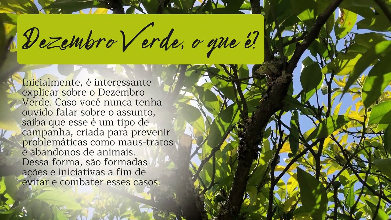Dezembro Verde a Solpack Agronet explica a importância desta data para os animais (1)