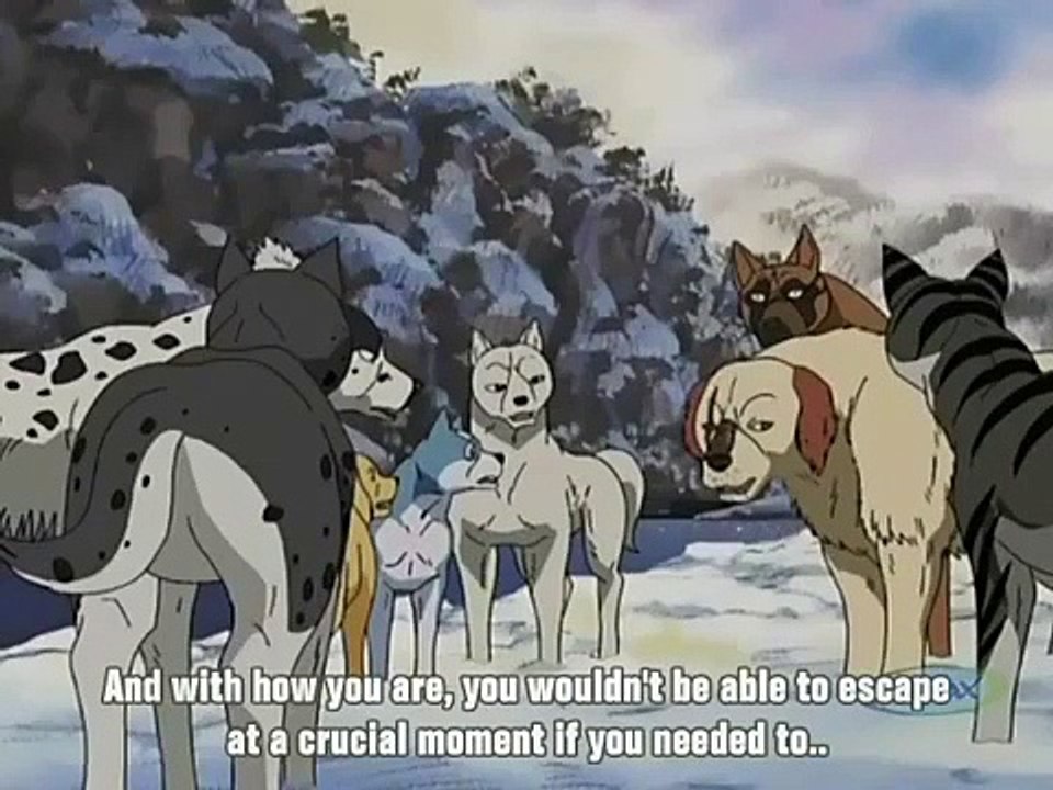 Ginga Densetsu Weed - Ep22 HD Watch