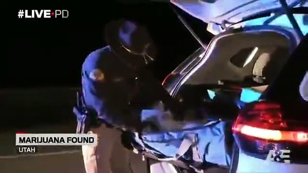 Live PD - Se2 - Ep08 - 10.28.17 HD Watch - Part 01