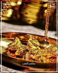 بيت الدلافين في مرسى علم.. رحلة غوص بجوار الشعاب المرجانية النادرة