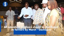 All subsidized fertilizers should be distributed to farmers by March - Gachagua