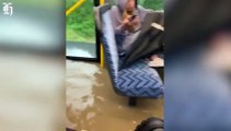 Auckland floods- ‘Crazy’ bus driver takes on floodwaters as roads swamped again - NZ60