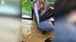 Auckland floods- ‘Crazy’ bus driver takes on floodwaters as roads swamped again - NZ60