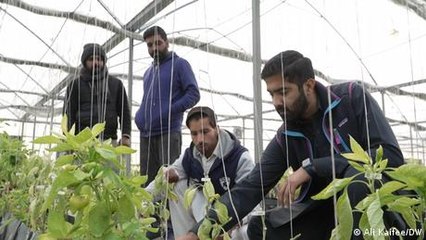 Pakistan: Can vertical farming tackle food and climate challenges?