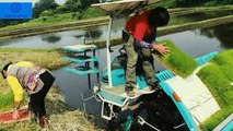 Rice Planting Machine| The Amaging Technology