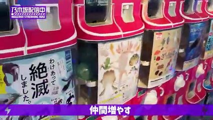 【乃木坂４６久保史緒里、中村麗乃、向井葉月】1万円分ガチャやってみた！【ガチャ回しまくり】