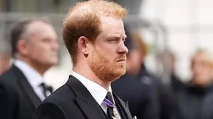 Il principe Harry si è "comportato come un bullo alla ricerca della vendetta e del controllo"