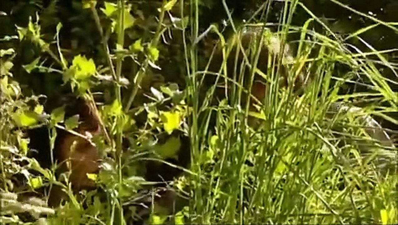 The Tribe - Se1 - Ep01 HD Watch