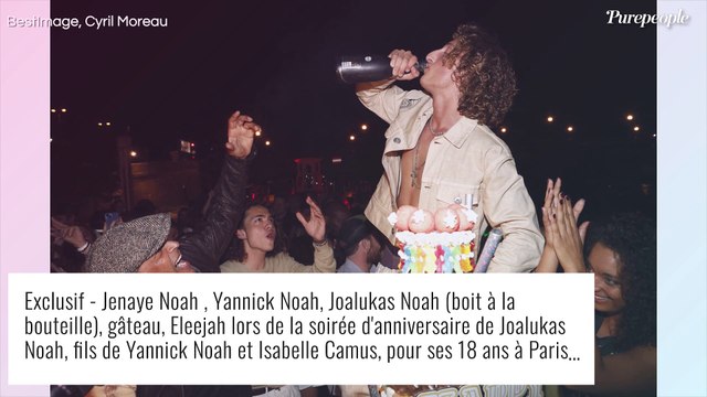 Yannick Noah : Sa fille Eleejah, tout juste sortie de garde à vue, réagit en vidéo... très agacée !