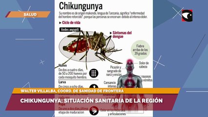 Chikungunya: situación sanitaria de la región